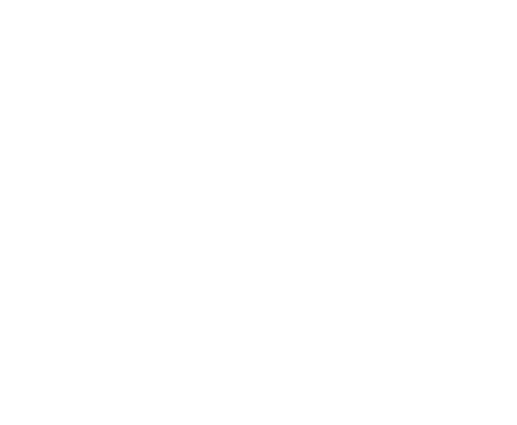 twitter logo white